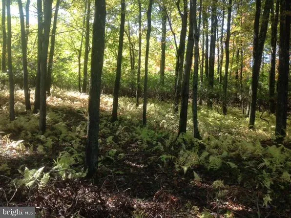 H27 Wolf Hollow & Barni L Rd, Lake Harmony, PA 18624