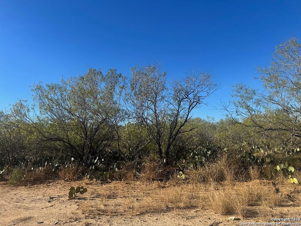 2nd image of LOTS 2451-2452 Ave. J LOT 2451-