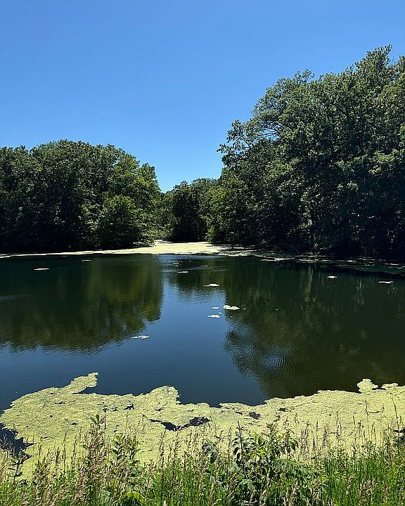 1st image of 6 SE Honey Creek Acres Hwy #21