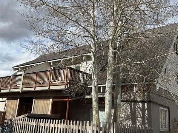 217 Gillaspey Ave UNIT 3, Crested Butte, CO 81224