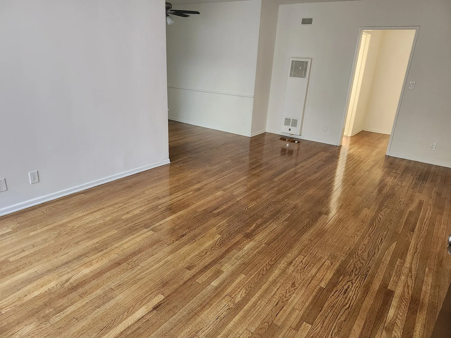 1 bed, 800 sqft, $1,925 — Photo 3