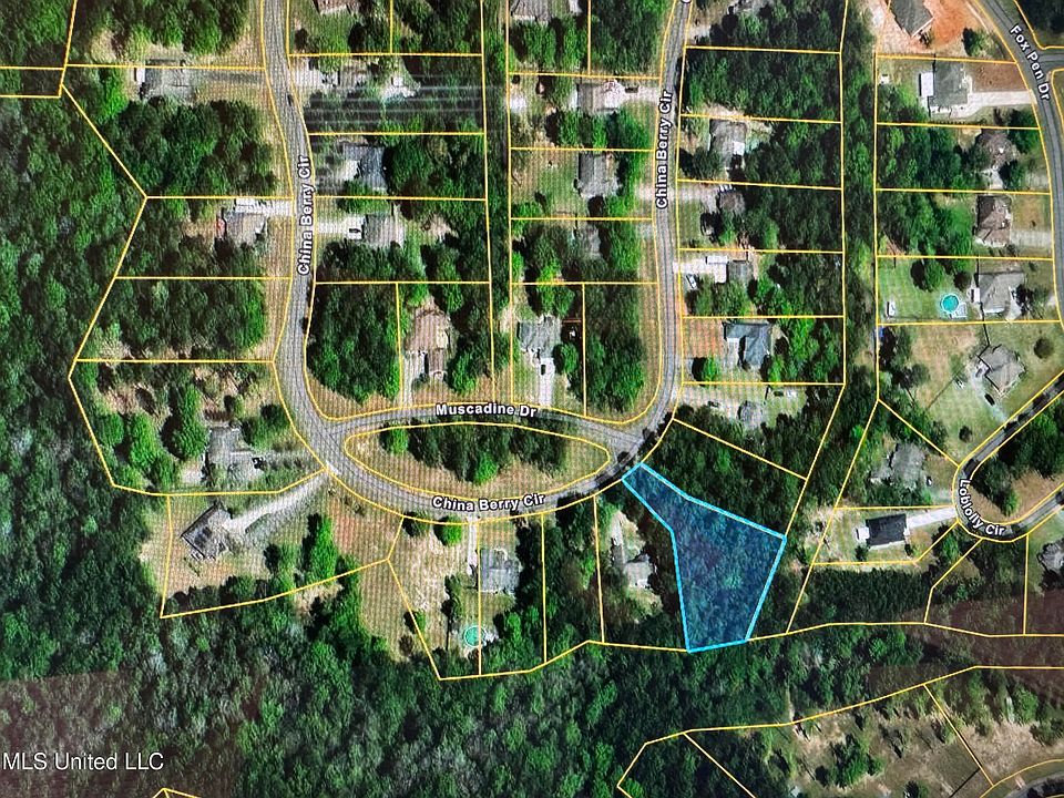 2nd image of China Berry Cir