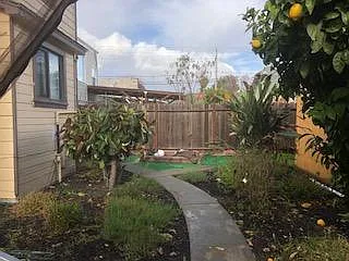 Yard with Mature Fruit Trees
