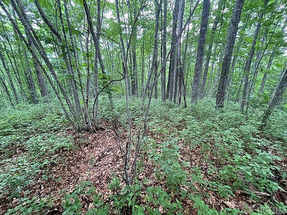 4th image of D53 Rye Mountain Drive