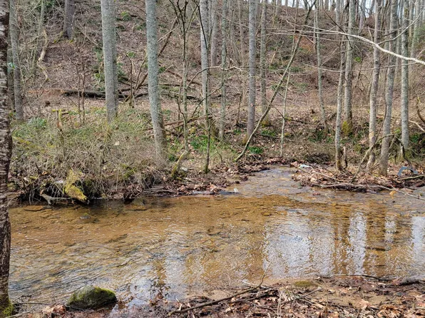 0 Stout Branch Rd, Mountain City, TN 37683