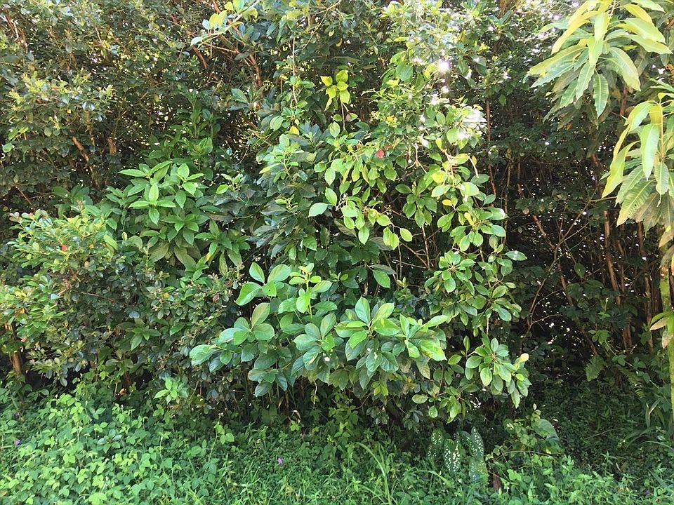 1st image of LOT 715 Lot 715