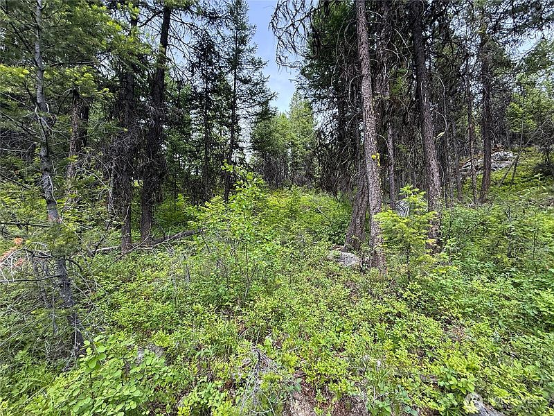 2nd image of 0 Mule Deer