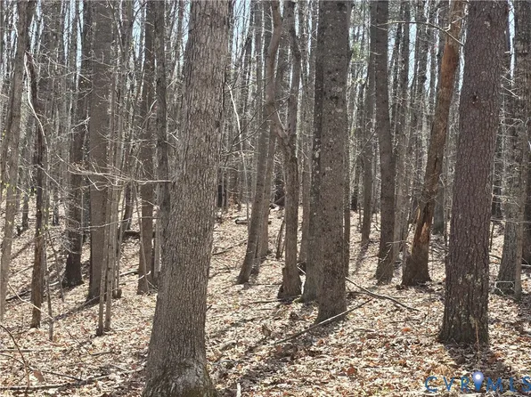 0 Equestrian Trail Rd Lot 1, New Canton, VA 23123