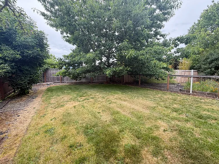 3426 Duck Pl — Photo 4