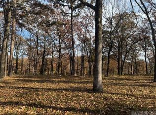 LOT 4c #4, Conway, AR 72034