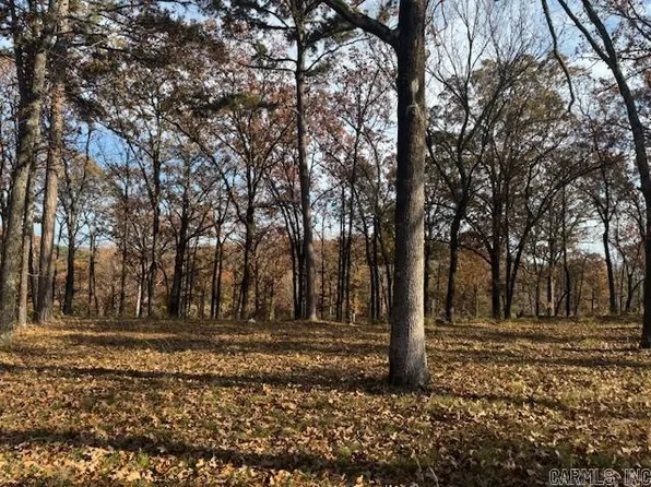 LOT 4c #4, Conway, AR 72034