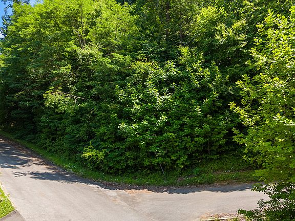 3rd image of 22 Wild Azalea Ln Lot 22