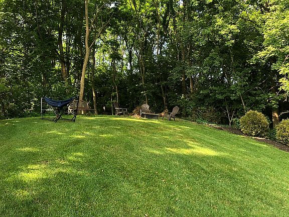 Back yard