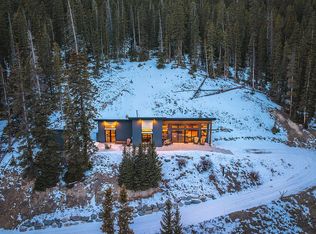 725 Peterson Dr, Alma, CO 80420