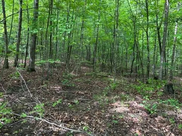 LOT 335 Flat Top View Ln, Wilder, TN 38589