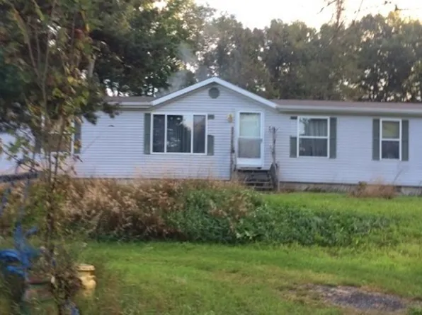 8636 Coon Hill Rd, Munith, MI 49259