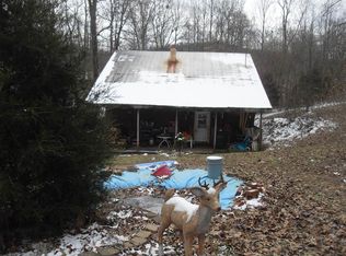 100 Holly Branch Run Rd, Magnolia, KY 42757