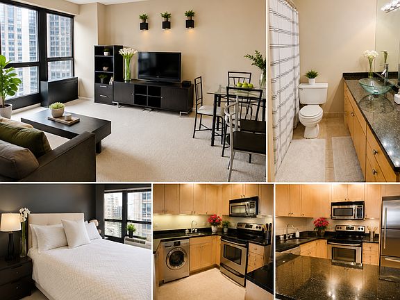 5th image of 30 E Huron St APT 2106