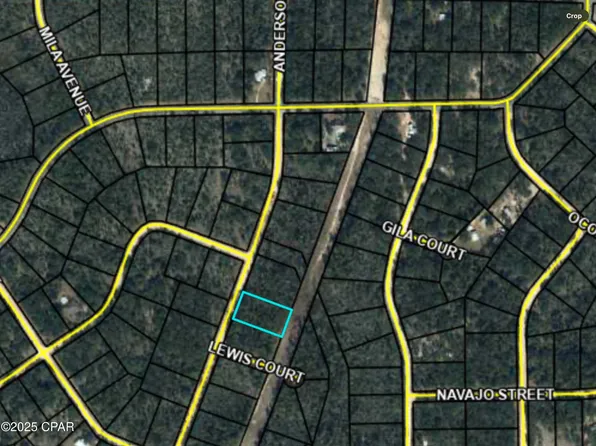 0 Anderson Dr, Alford, FL 32420