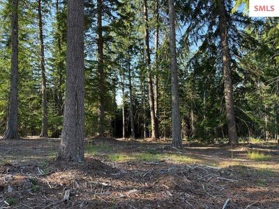 442 Fox Glen Rd, Sandpoint, ID, 83864