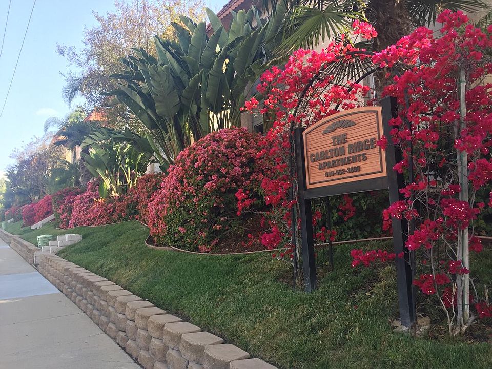1st image of 9645 Carlton Hills Blvd APT 8