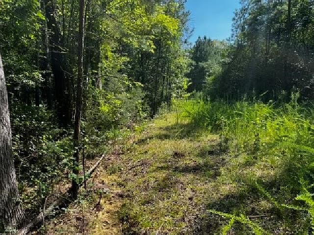 2nd image of 0 Pleasant Hill Church Rd