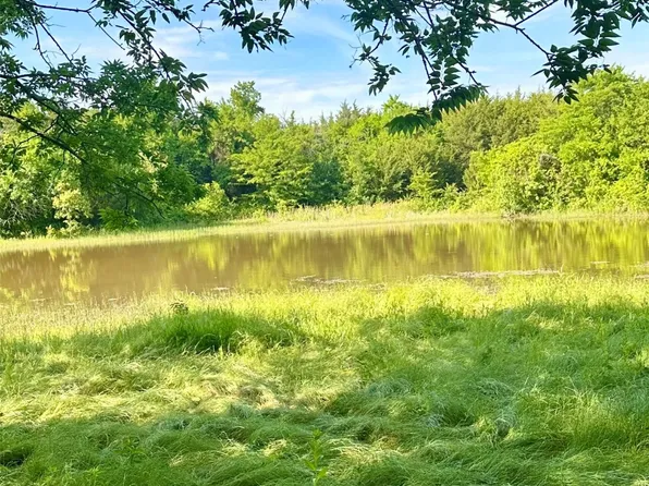 0 County Road 5020, Blue Ridge, TX 75424