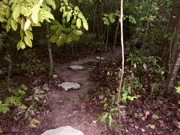 Make sure you take a stroll down