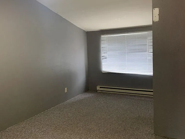1217 W Woodin Ave — Photo 4