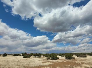 8678 Knowe Pl, Show Low, AZ 85901