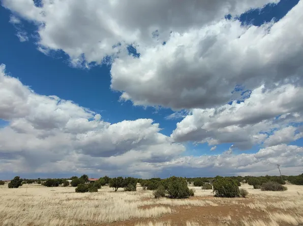 8678 Knowe Pl, Show Low, AZ 85901