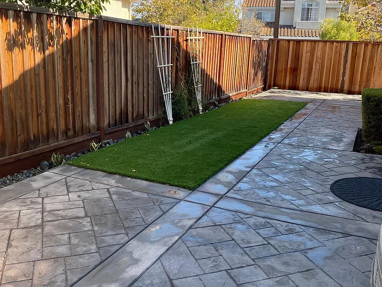Backyard