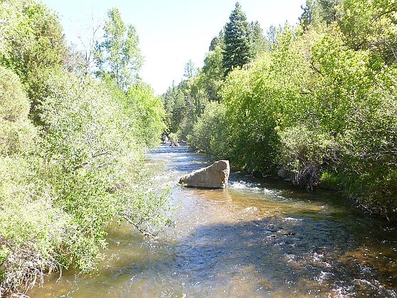 Good trout fishing!