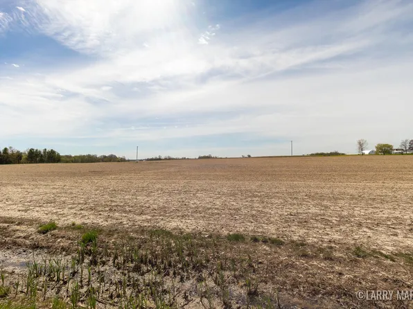 141st Ave Parcel A, Hamilton, MI 49419