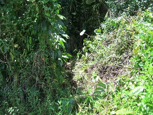 5th image of S Malolo St