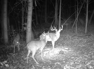 14252 State Route 83, Coshocton, OH 43812