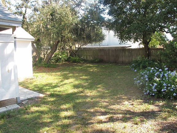 Back yard