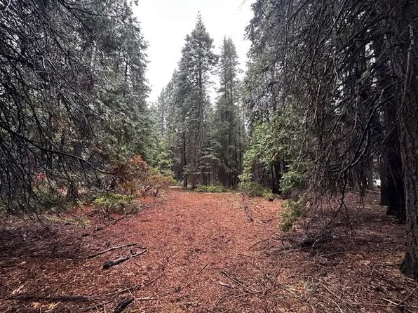 Westward Ho Rd, Shingletown, CA 96088