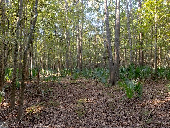 5th image of 0 Abbeville Hwy