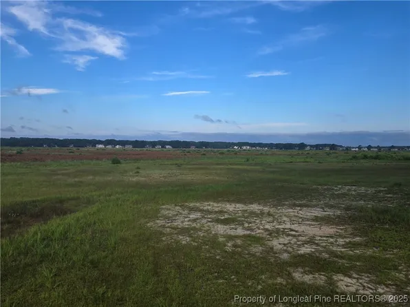 1120 Cattail Ct, Vass, NC 28394