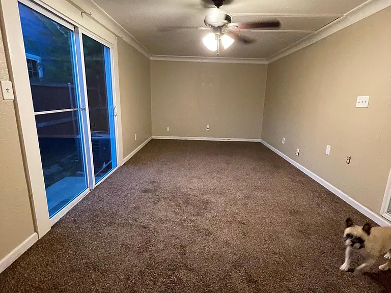 2603 Norwood Dr — Photo 35