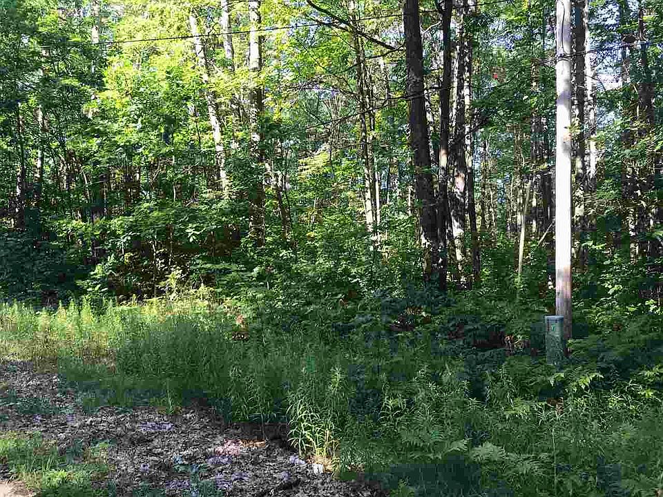 2nd image of 14 Leafy Ln