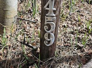 150 Summit Loop, Florissant, CO 80816