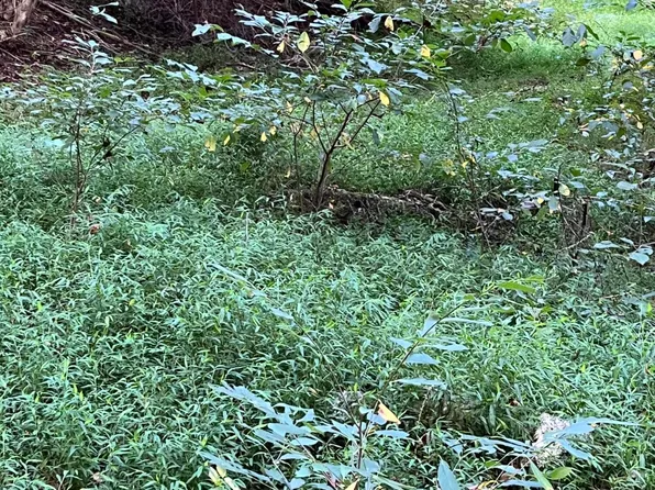 318 Sue St, Gate City, VA 24251