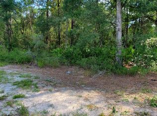 7272 Treiman Blvd, Webster, FL 33597