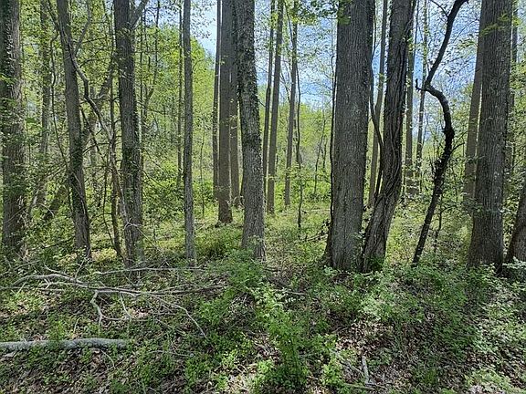 3rd image of 1485 Wilson Rd