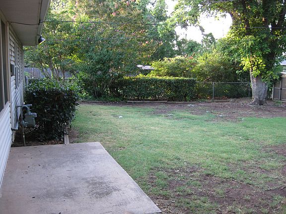 Back yard - morning