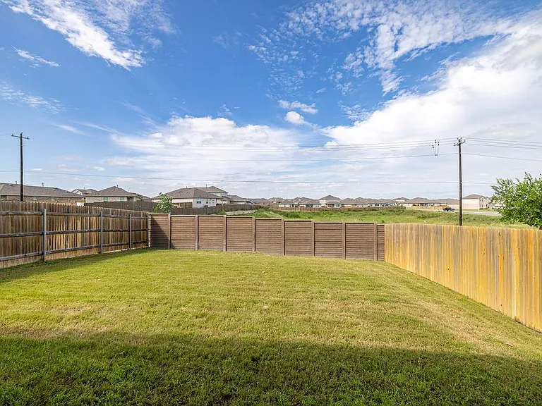 393 Apache Plum Dr — Photo 27