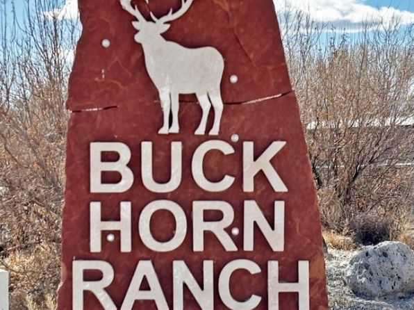 2100 Buckhorn Rd, Alamo, NV 89001