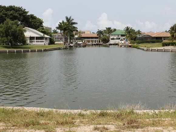 View from Back Yard area